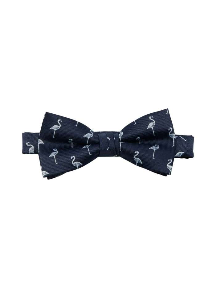 Noeud Papillon pour homme...