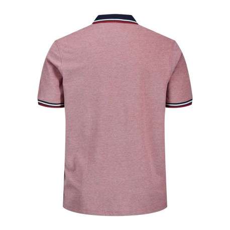 Polo rouge pour homme avec logo en coton coupe droite PAULOS - Image 2