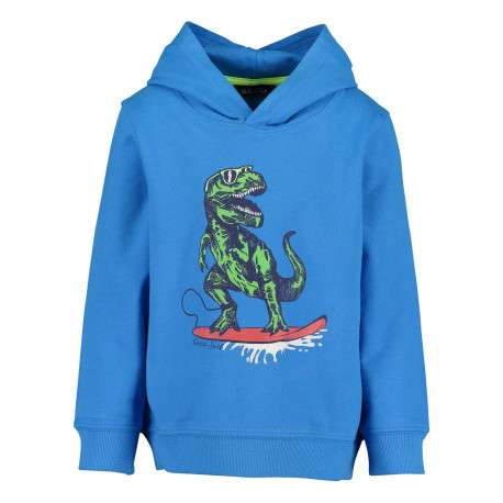 Sweat à capuche bleu en coton avec un dinosaure floqué sur une planche de surf
