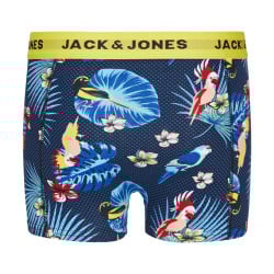 Lot de 3 Boxers classiques en coton multicolores imprimés avec imprimé floral