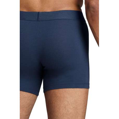 Lot de 2 Boxers marine en coton biologique et avec une ceinture élastiquée - Image 7
