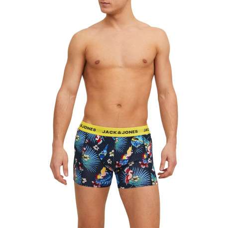 Lot de 3 Boxers classique en coton nuit uni avec une coupe fermée - Image 6