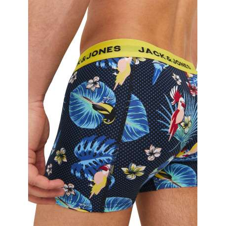 Lot de 3 Boxers classique en coton nuit uni avec une coupe fermée - Image 7