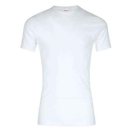 T-shirt en coton blanc uni avec coupe près du corps et un col rond