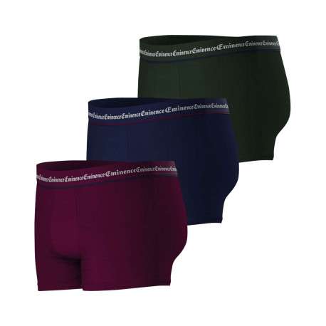 Lot de 3 boxers classiques en coton tricolore avec une coupe fermée - Image 2