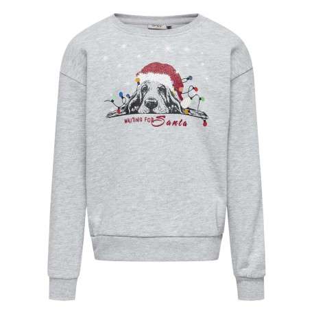 Sweat gris imprimé d'un chien de noël avec une coupe droite à col rond