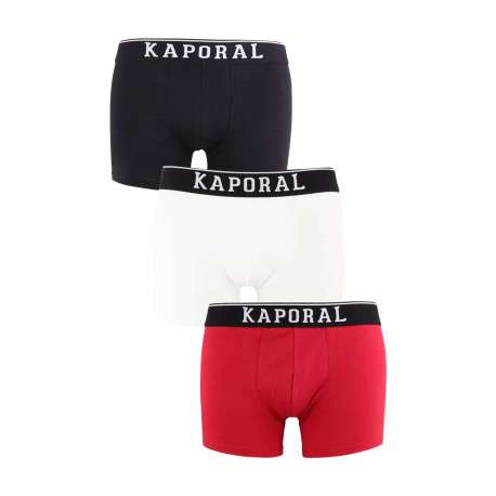 Lot de 3 boxers classiques en coton tricolore avec le nom de la marque
