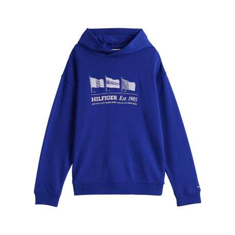 Sweat en coton régénératif bleu à imprimé, coupe droite et col à capuche