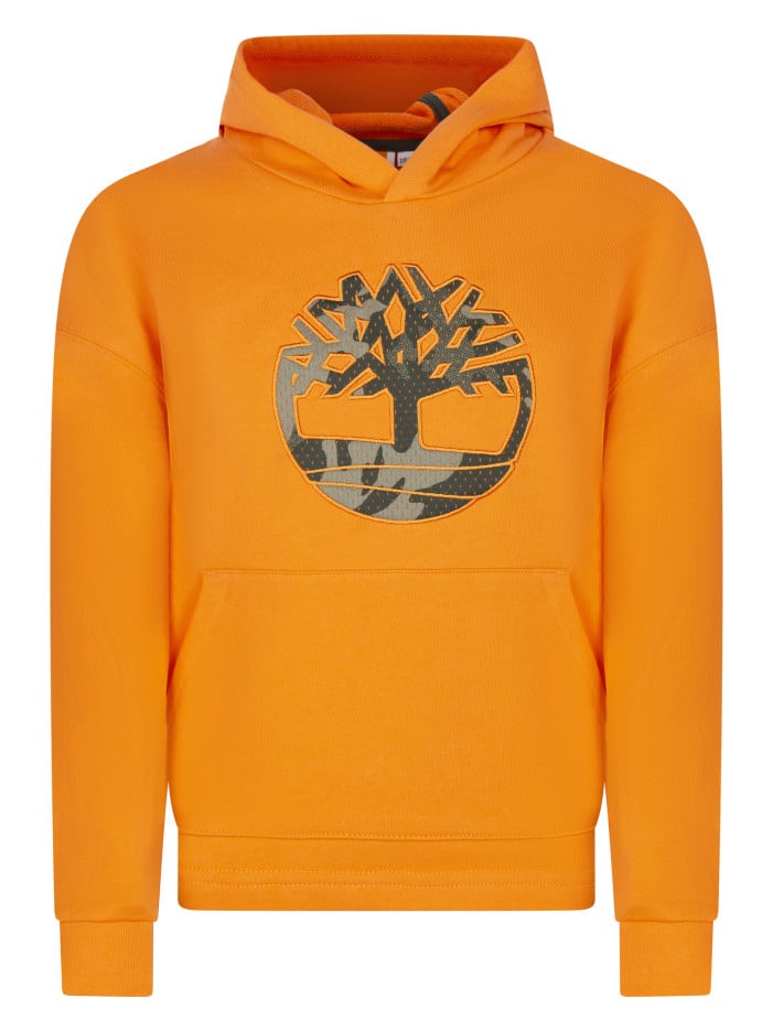 Sweat à capuche en coton...