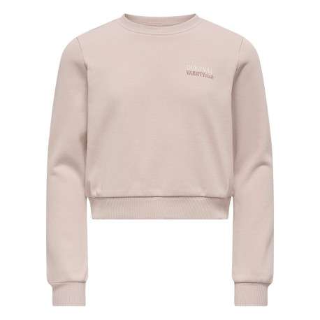 Sweat rose uni avec une coupe droite à col rond et des manches longues