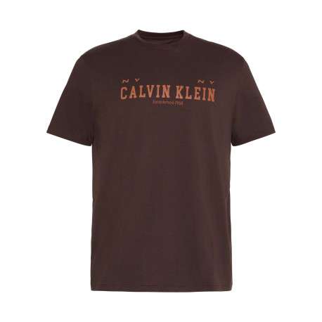 T-shirt en coton brun uni avec une coupe droite et un col rond
