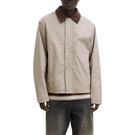 Blouson en coton beige uni avec un col à revers contrasté en velours - Image 2
