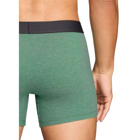 Lot de 2 boxers en coton multicolores pourvus de ceintures élastiquées - Image 4