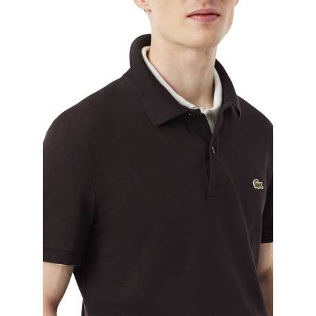 Polo en coton marron à coupe droite pourvu d'un col à revers boutonné - Image 5