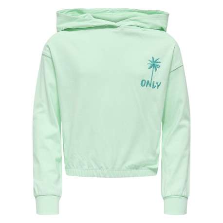 Sweat en coton biologique vert d'eau uni pourvu de manches longues