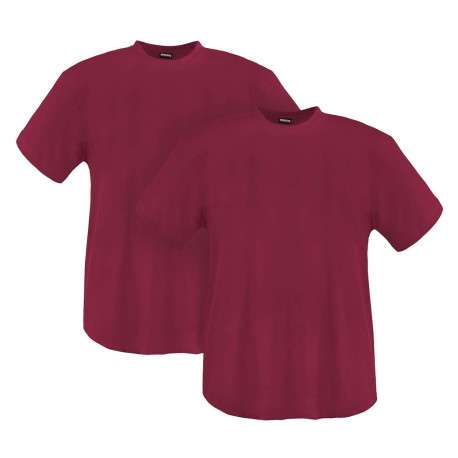 Lot de 2 t-shirts en coton bordeaux unis avec une coupe droite et un col rond