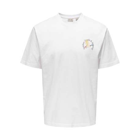 T-shirt en coton biologique blanc à imprimé avec une coupe droite et un col rond