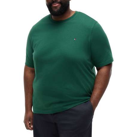 T-shirt en coton vert à coupe ajustée pourvu d'un col rond et de manches courtes - Image 2