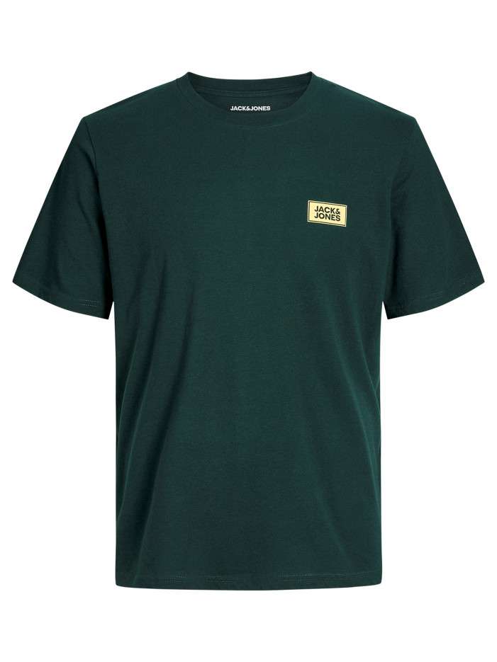 T-shirt en coton sapin uni...