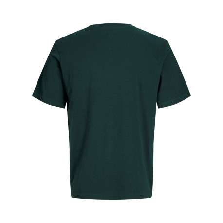 T-shirt en coton sapin uni avec une coupe droite et un col rond - Image 2
