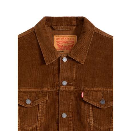 Blouson en coton brun à coupe ajustée pourvu d'un col à revers - Image 2