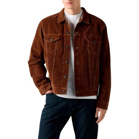 Blouson en coton brun à coupe ajustée pourvu d'un col à revers - Image 6