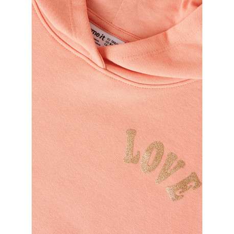 Sweat pêche à imprimé avec une coupe droite et un col à capuche - Image 3