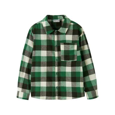 Chemise en coton biologique verte à carreaux avec une coupe droite