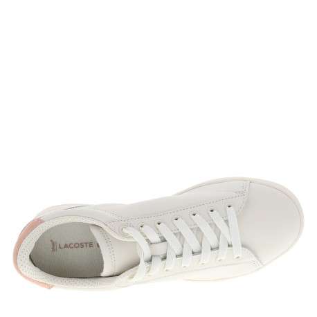 Tennis Carnaby en cuir rose à semelle plate et fermeture à lacets plats - Image 5