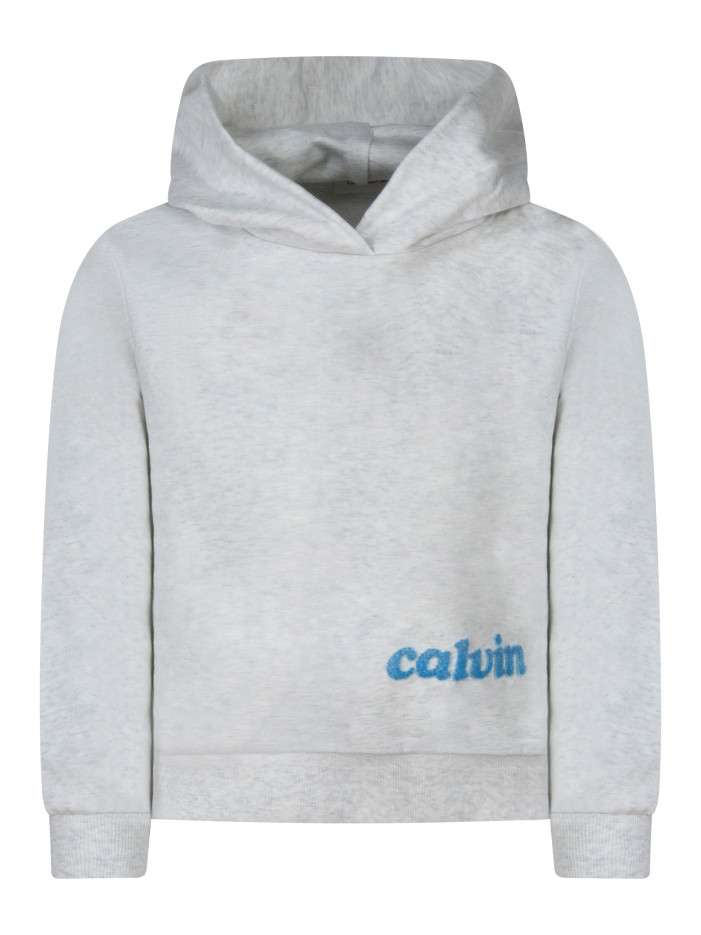 Sweat en coton gris clair...