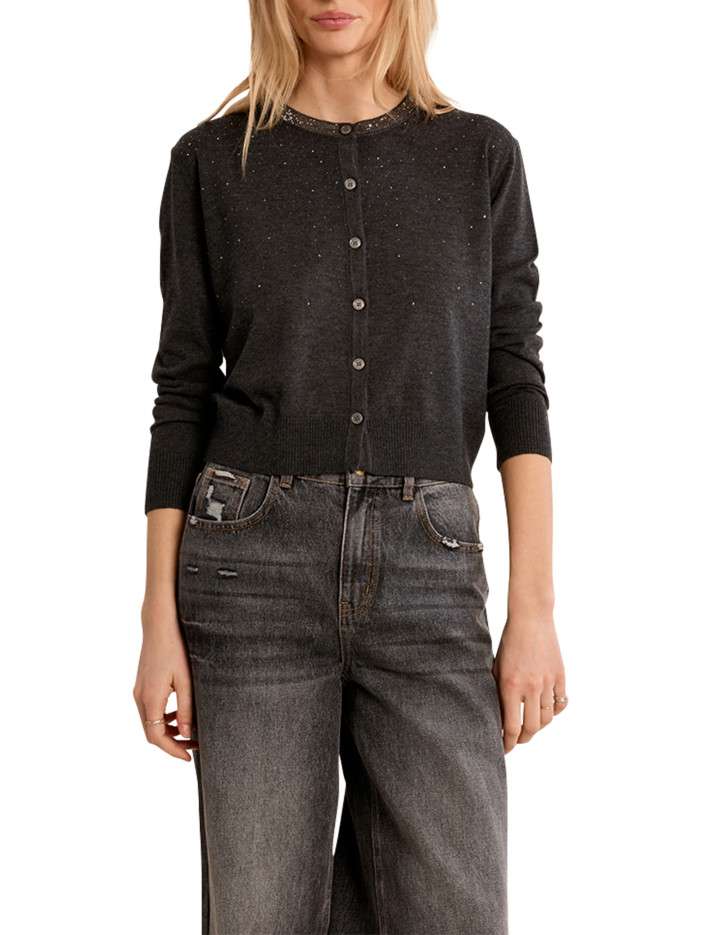 Gilet gris sintillant...