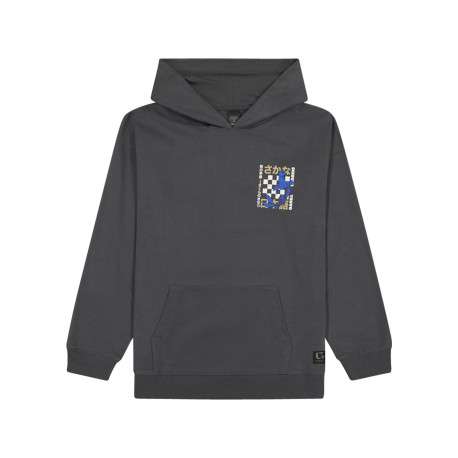 Sweat en coton anthracite imprimé à coupe droite pourvu d'un col à capuche