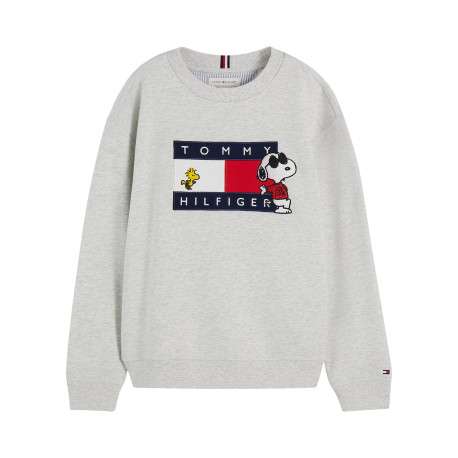 Sweat gris en coton agrémenté du drapeau logotypé et de Snoopy