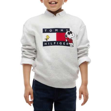 Sweat gris en coton agrémenté du drapeau logotypé et de Snoopy - Image 2