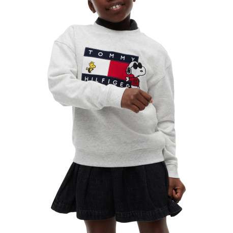 Sweat gris en coton agrémenté du drapeau logotypé et de Snoopy - Image 3