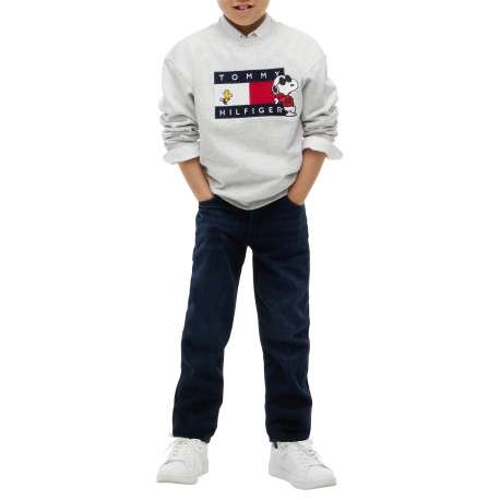 Sweat gris en coton agrémenté du drapeau logotypé et de Snoopy - Image 5