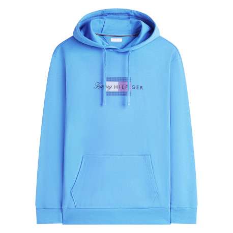 Sweat à capuche bleu uni en coton biologique avec manches longues