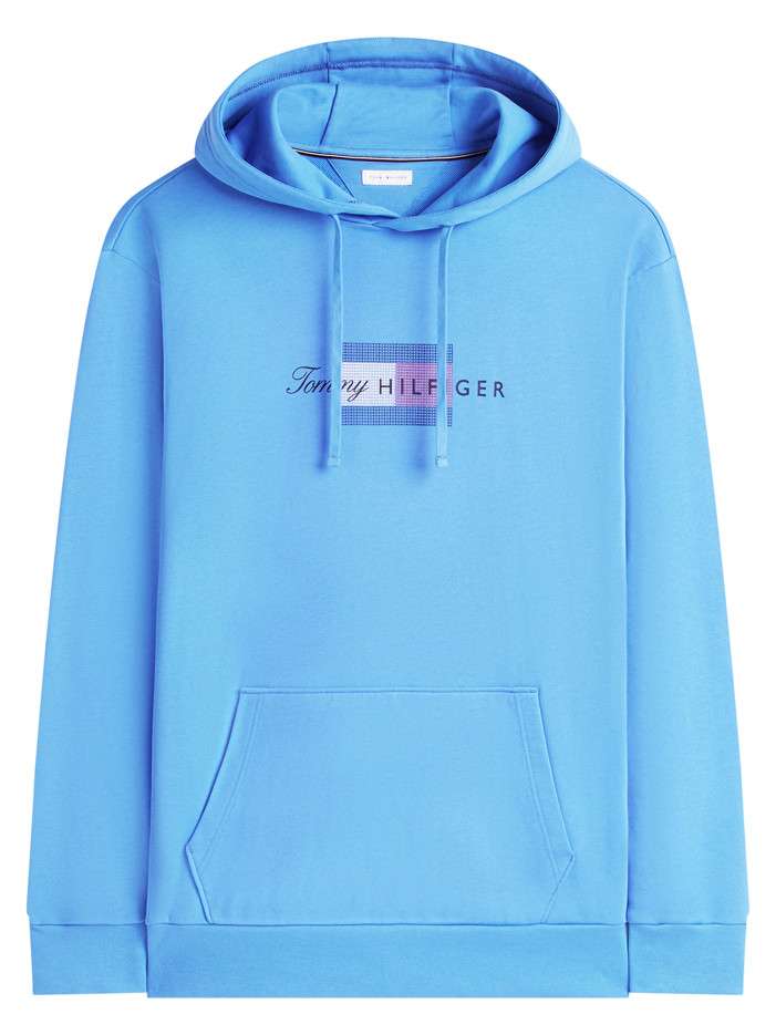Sweat à capuche bleu uni en...