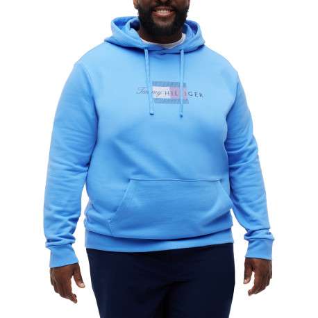 Sweat à capuche bleu uni en coton biologique avec manches longues - Image 2