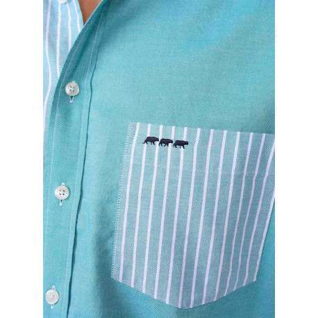Chemise en coton biologique turquoise à coupe droite et à manches longues - Image 3